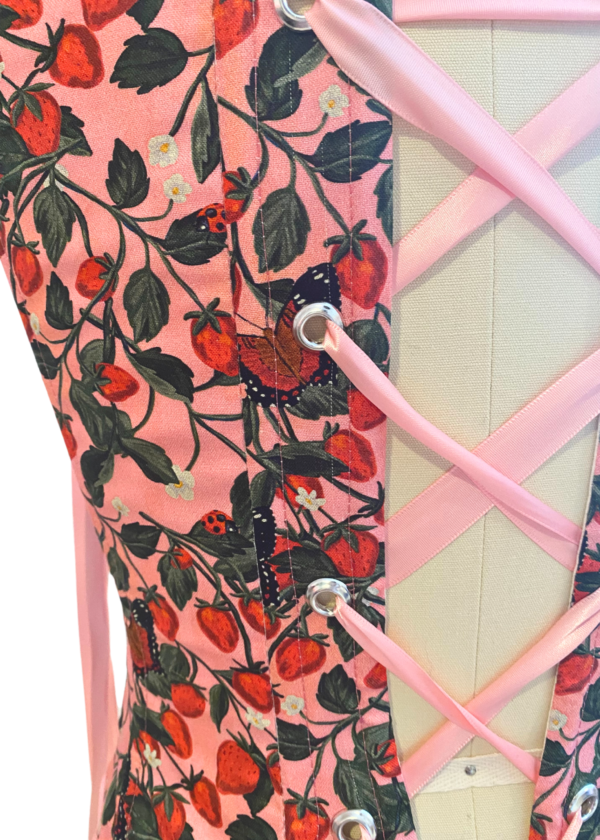 The Strawberry and Butterflies Pink Corset